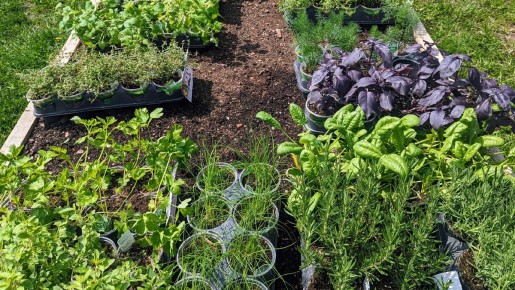 ������ �� ����� �����: ������ ����� �������� �������� �� ���, ����� � ��������