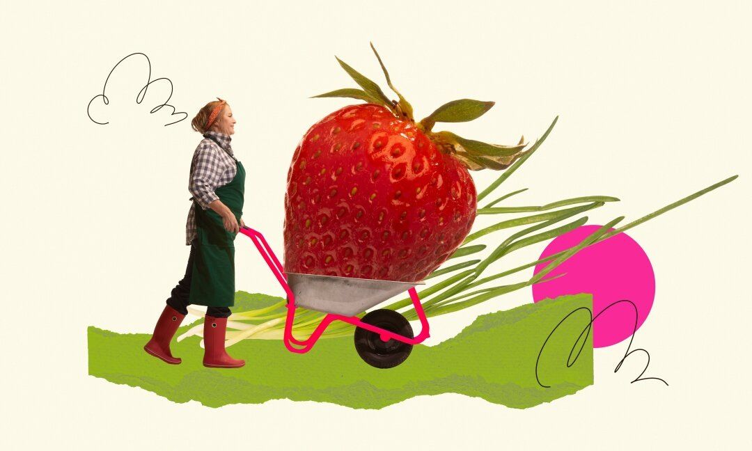 Как научиться интуитивному питанию и наслаждаться читмилом без ущерба для фигуры