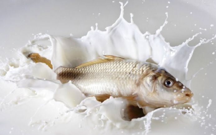 ��� ���� � ������ �������� ���������� ������������