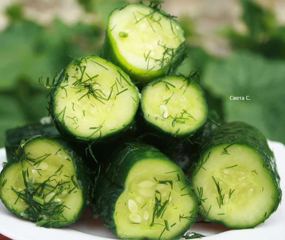 ��������� ����������� ������ �� ������� ����