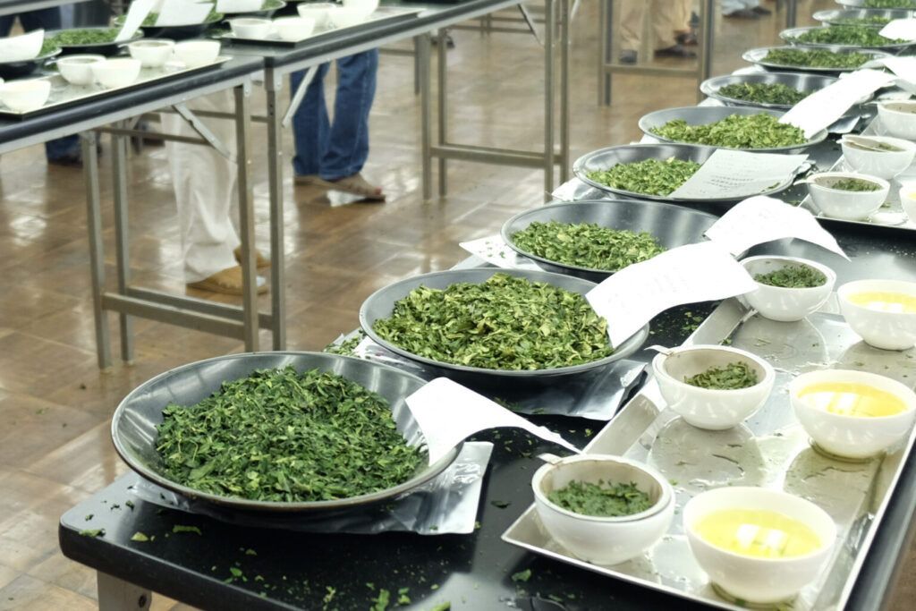 ���� �� ���������� �������� ���: ���� � ���������