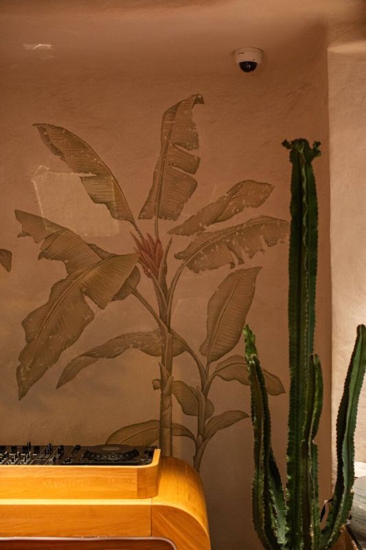 Гастрономические находки: новый вкус Ближнего Востока в Москве