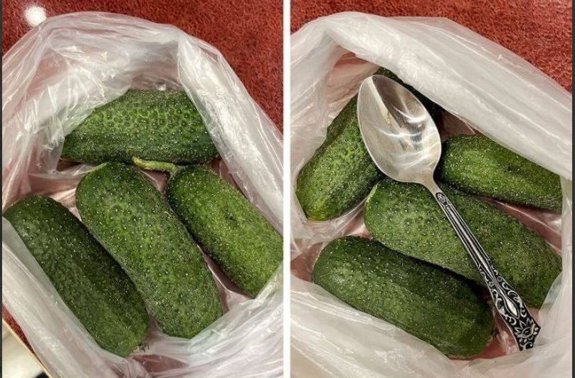 ����� ������ ��������� �������� ������� � ������� �����