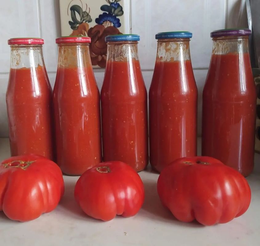 ����� �������� ���� ��� �������: ������ ��� ����� �����������