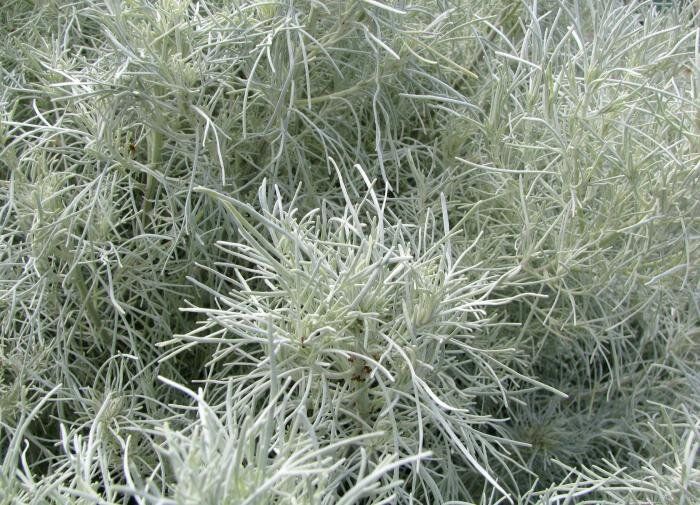 ������: ������� ������� � ����� ����