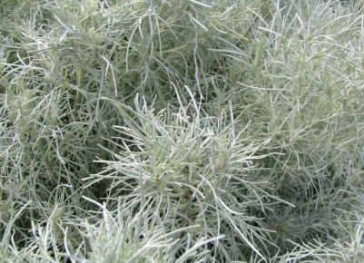 ������: ������� ������� � ����� ����