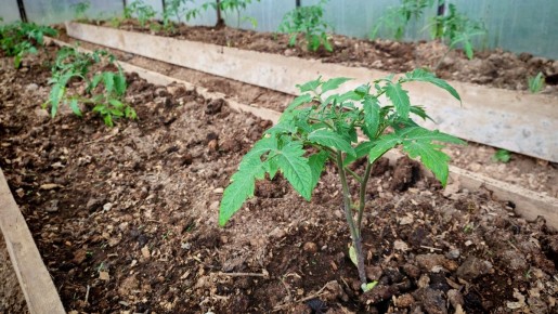 ��� ���������������� ������ ��� ������ �������: ��� �� ��������