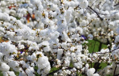 7 ����������� ����������� ��� ����� ������ ����