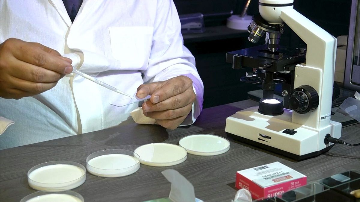 ��� �������: ������� ��� ����-������? ������� ��������!