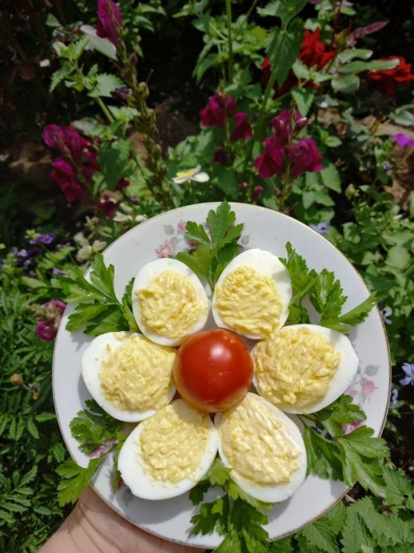 Фаршированные яйца: идеальная закуска для дачного отдыха