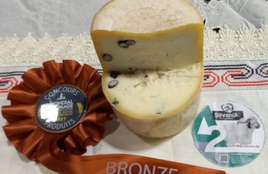 Необычный сыр с муравьями завоевывает сердца гурманов Бразилии