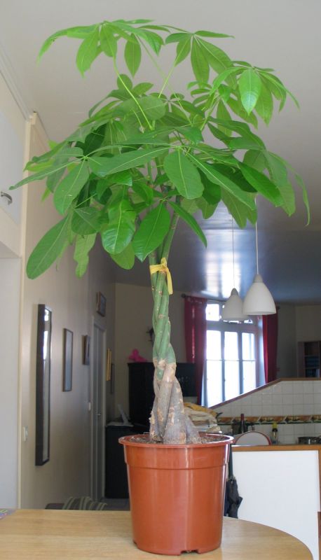 ��� ������ ����������� �������� ��� � �������� ���������