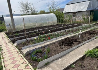 �� ��� �������� ����� ������ ��������: ��� ����� ����� �����������