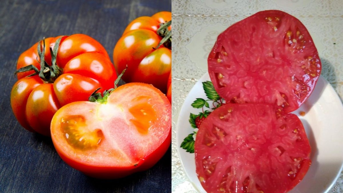 ������� ��������� ����������� �������� �������: 9 ������, ������� ��� ��������