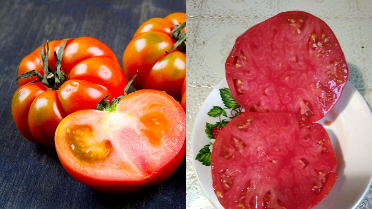 Секреты успешного выращивания мясистых томатов: 9 сортов, которые вас порадуют