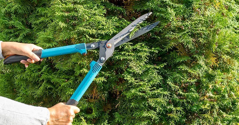 ��� ��������� �������� ���: ������ ��������������