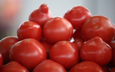 ������ �� 2026 ���: �������� ������ ������ �����