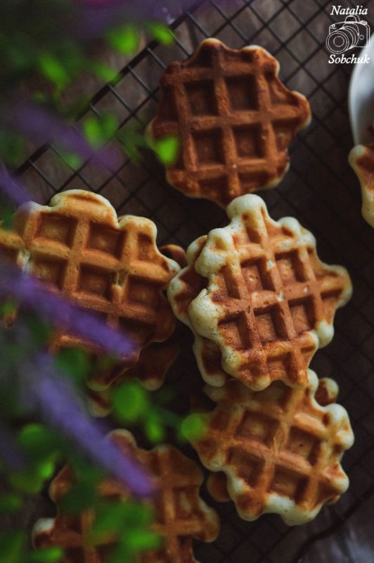 ������� ��������� �����: ��������� ������ �� ������ ����