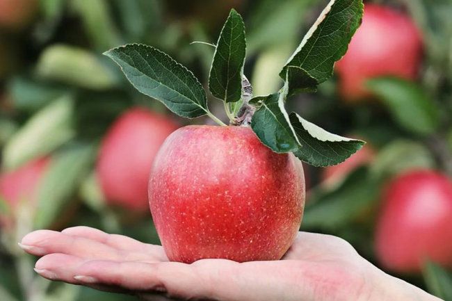 ���������� ����� � ��������: �������� ��������� ���� ��� ����