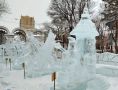 Скульпторы Хабаровска отмечены денежными призами за творение ледяных шедевров