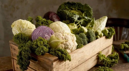 Капуста: от древних корней до современных тенденций здоровья