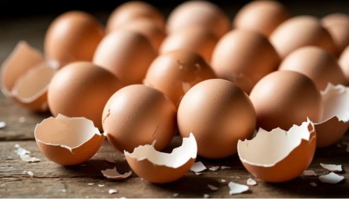 Яичная скорлупа: как использовать её в быту и саду