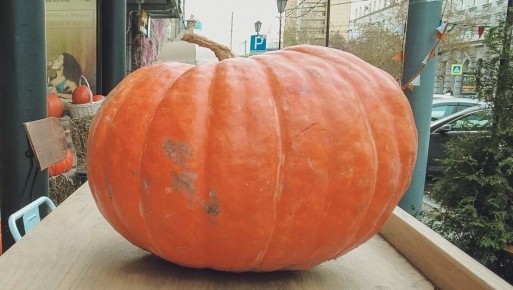 � ���������� ������ ���������, �� ������� �������� 100-������������� �����