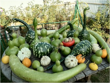 ������������ ���������: ������� ��������� �����������