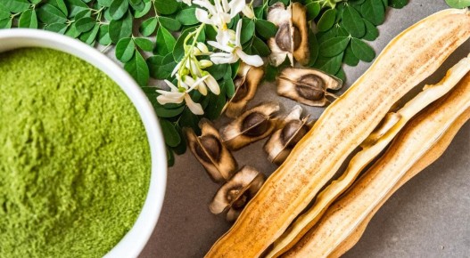 ��������� 2026: ��� ����� �������� � ���� ������?