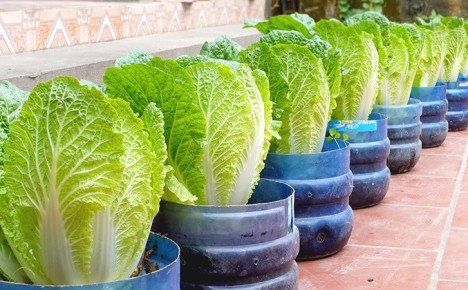 ��� ����� � ������ ��������� ��������� ������� �� ����������� ������� ���