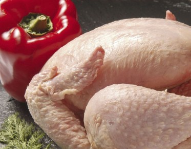 ����� ����� ������: ������� ��������� ��� ��������