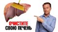 Как сохранить здоровье печени после 40 лет: ключевые советы
