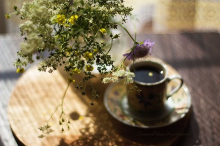 ������� ���� � �����: ��� ���������� ������������ �������