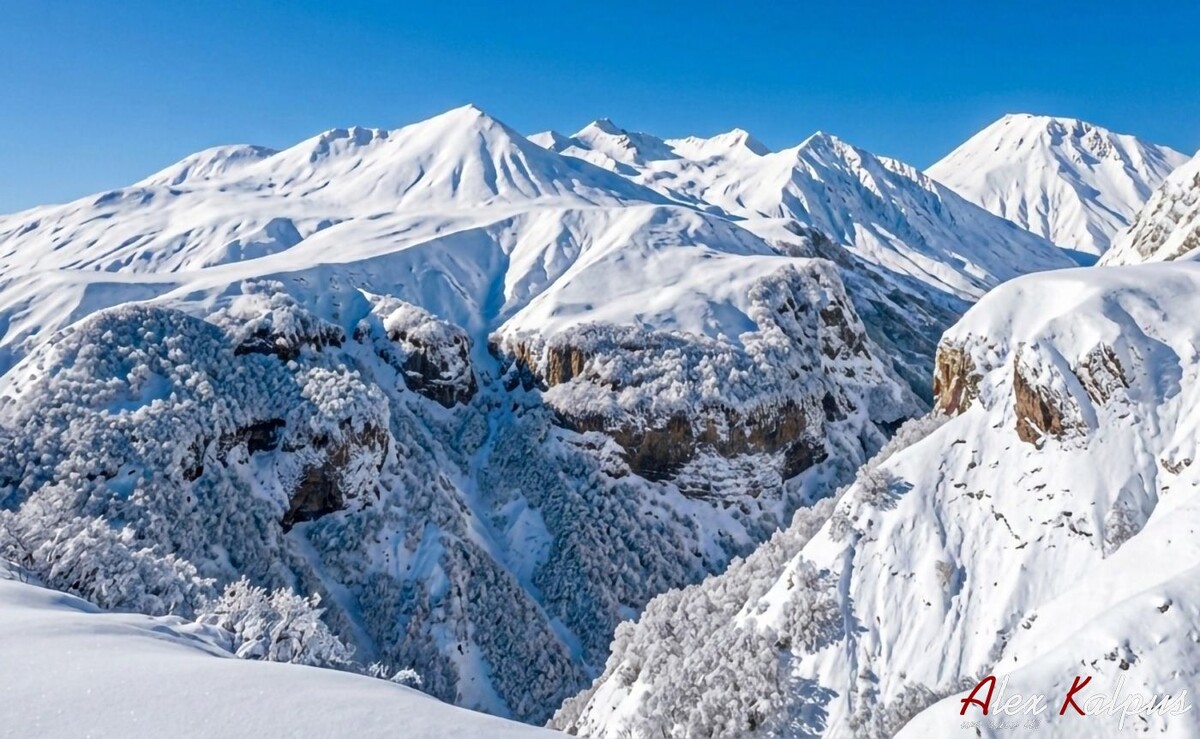 Как сообщества помогают поддерживать фотографию на новом уровне