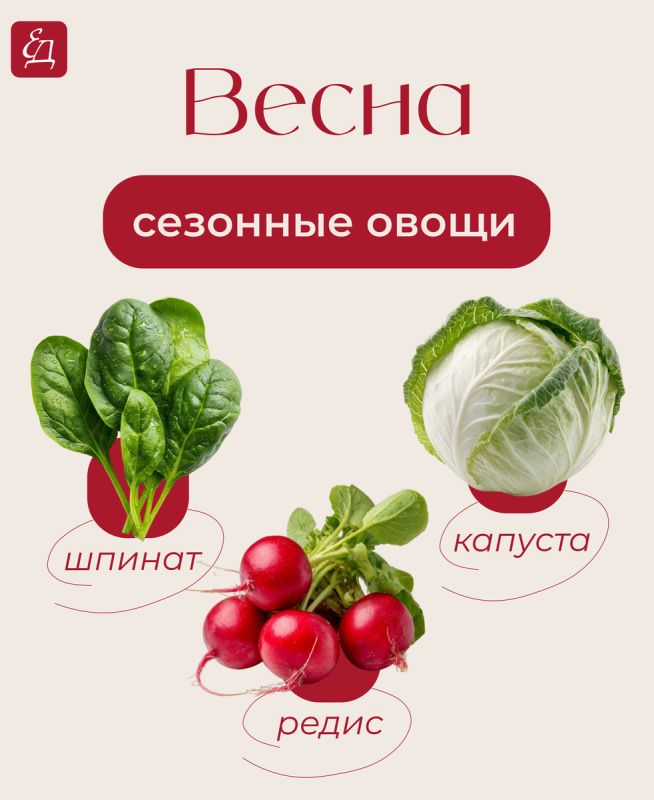 ����� �� �������: ����� �������� ����� ������