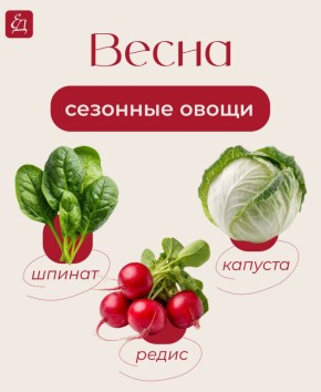 ����� �� �������: ����� �������� ����� ������