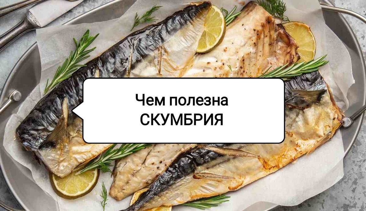 �������� ��� ��������: �������� � ���������