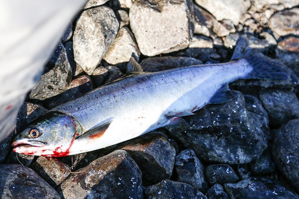 �������������� ��������� ������: ��� � ������������� ��������