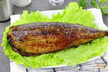 ����� �������� ��������: ���� ������ ��� �����������