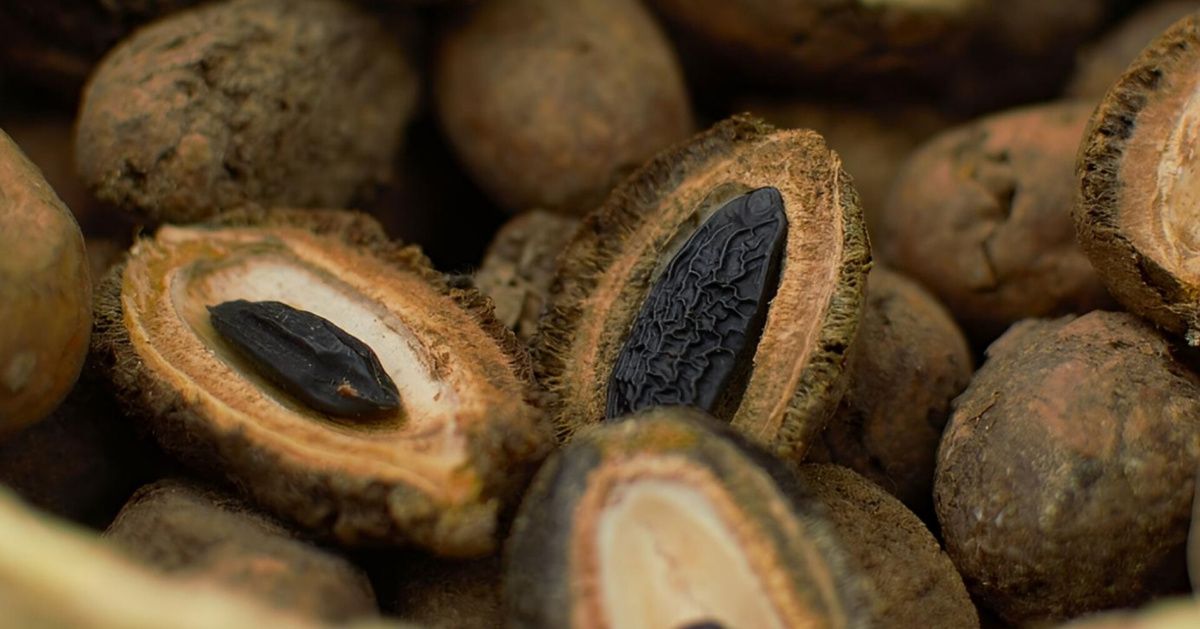 ������� ����� ����� � �������� � ����������