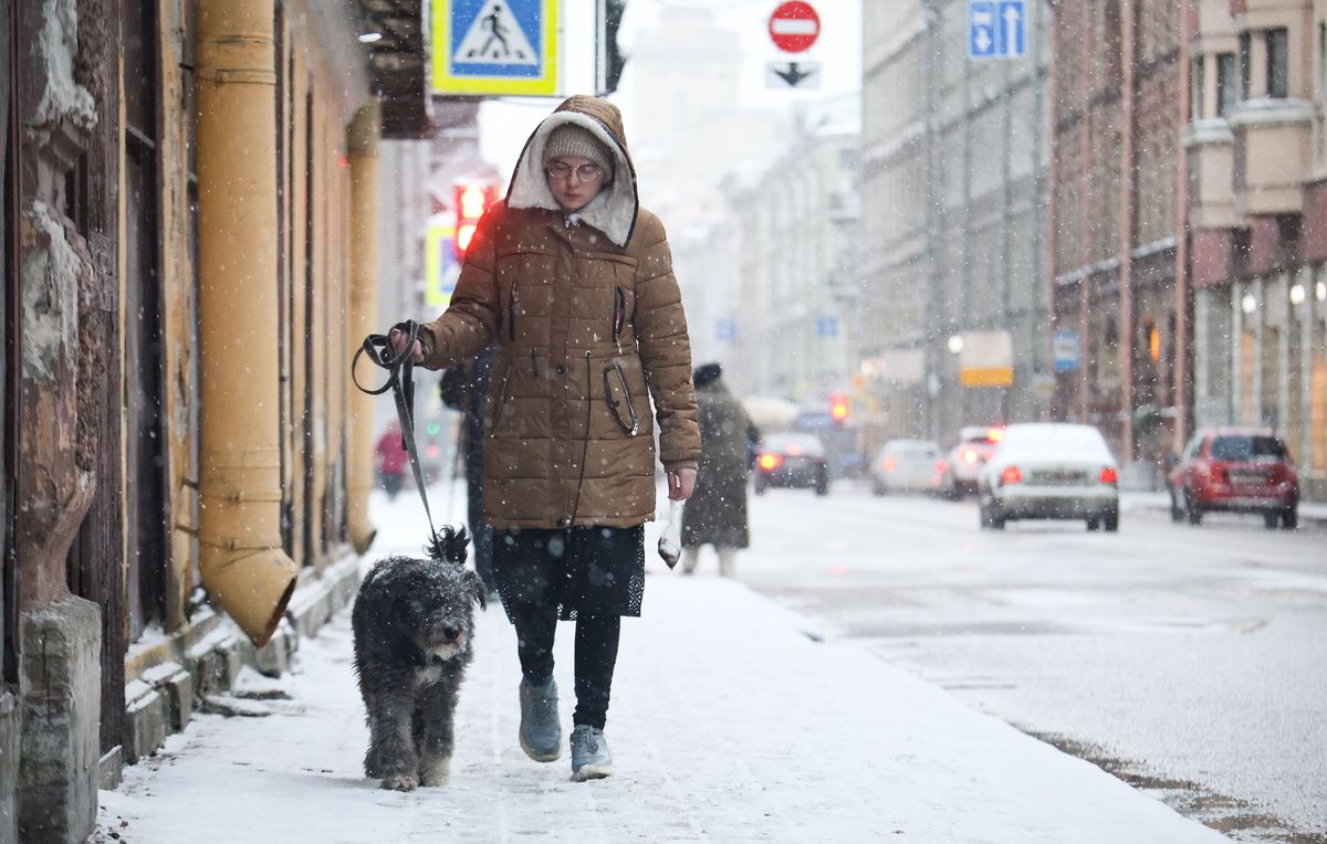 ��� �������� '����' ������ pet-friendly ����� ��������� � ����������� �������