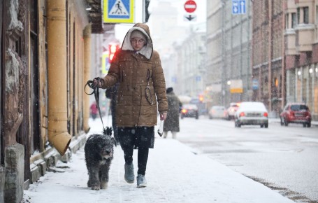 Все пиццерии 'Додо' теперь pet-friendly после инцидента с увольнением курьера