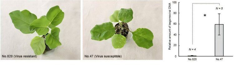 ��������� ������� ������� ����� ���, ���������� �������� �� �������