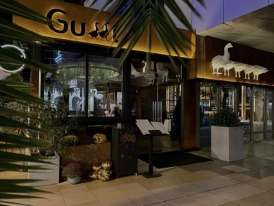 ���������� ������: ������ �������� Gussi ���� �������� ��� �����������