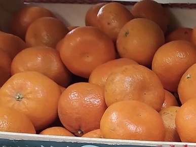 ��� ������� ��������� ���������: ����������� � �������� �������