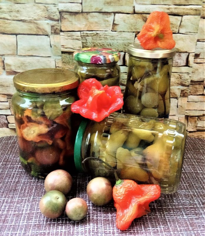 ��������� ����: ������������ �������� � ������ ������ � �����