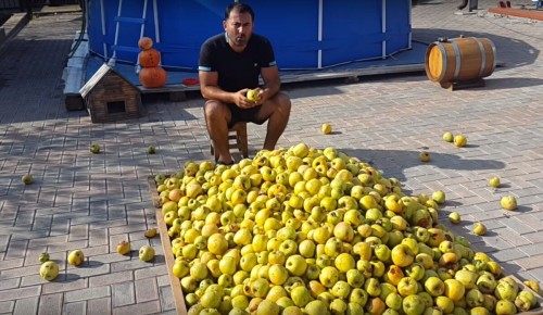 Яблочная Брага: Рецепт Самогона из Яблок