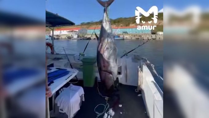 �� ������� ������� ����������� ����� �� 160 ��������� ������