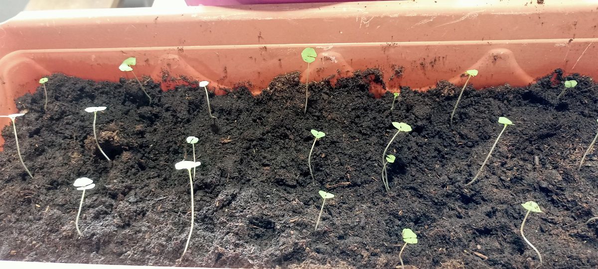 ������ � ������� ��� � ����������� �������� � ������������