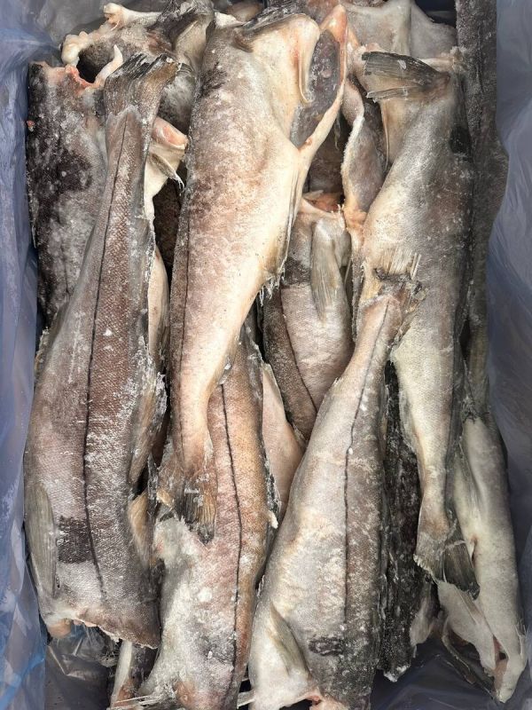 ����� � ��������: �������� � �������� �� ��������� ����